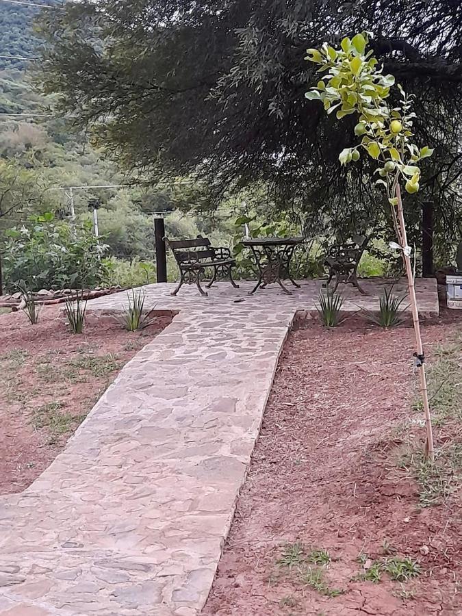 Departamento En La Naturaleza Apartment
